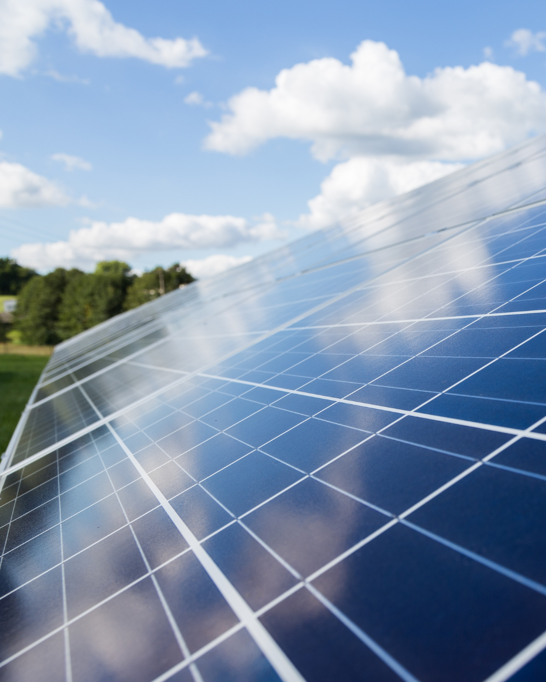 Fit For 55 CO2 Artikel