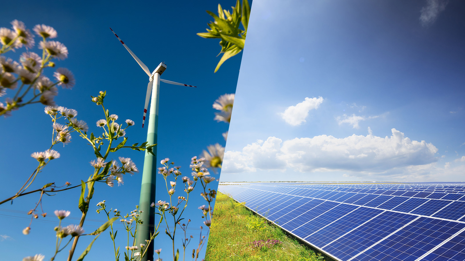 Nature Green Wallpaper 2